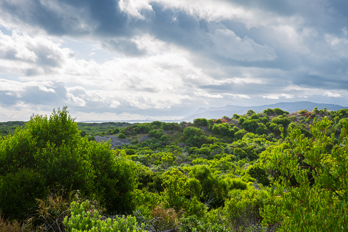 South Africa